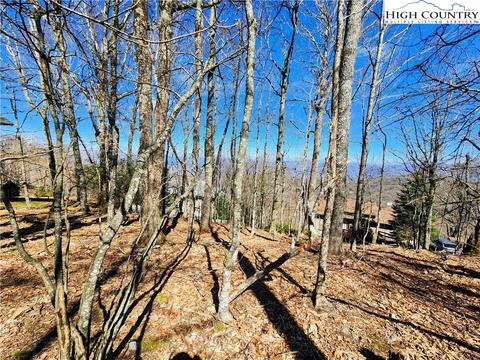 100 Pinnacle Ridge Rd, Beech Mountain, NC 28604 photo 19