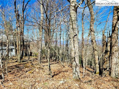 100 Pinnacle Ridge Rd, Beech Mountain, NC 28604 photo 23