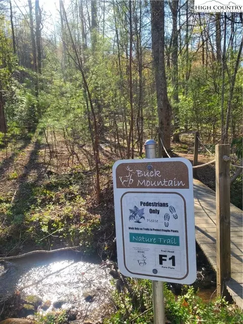 Off Pepper Bush Road, Purlear, NC 28665 photo 19