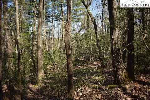 Off Pepper Bush Road, Purlear, NC 28665 photo 5