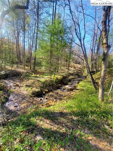 Off Pepper Bush Road, Purlear, NC 28665 photo 16