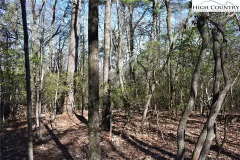 Off Pepper Bush Road, Purlear, NC 28665 photo 8