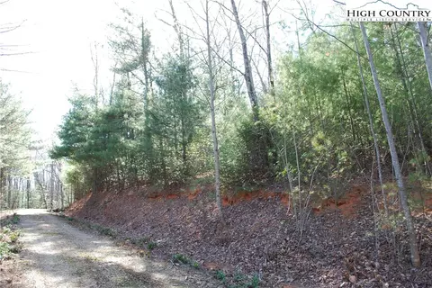 Off Pepper Bush Road, Purlear, NC 28665 photo 3
