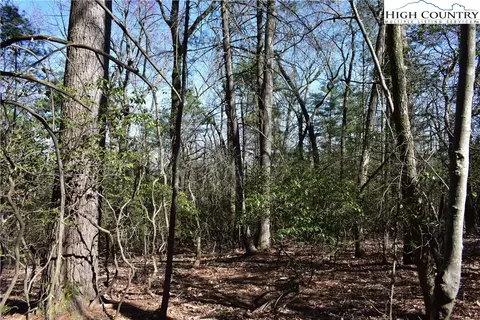 Off Pepper Bush Road, Purlear, NC 28665 photo 7
