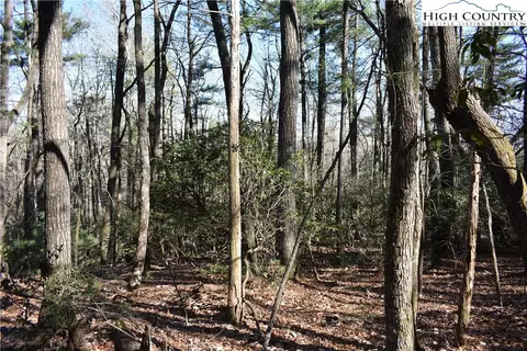 Off Pepper Bush Road, Purlear, NC 28665 photo 6