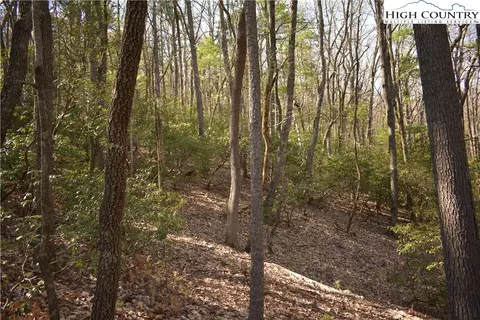 Off Pepper Bush Road, Purlear, NC 28665 photo 4