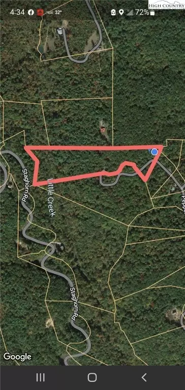 Off Pepper Bush Road, Purlear, NC 28665 photo 13