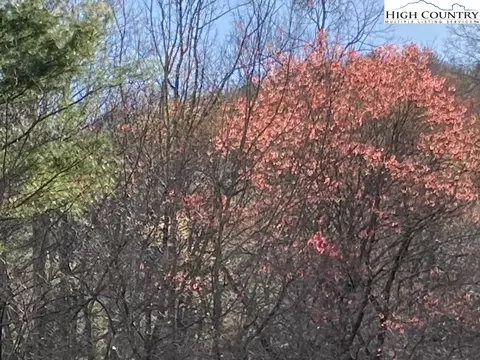 Off Pepper Bush Road, Purlear, NC 28665 photo 21