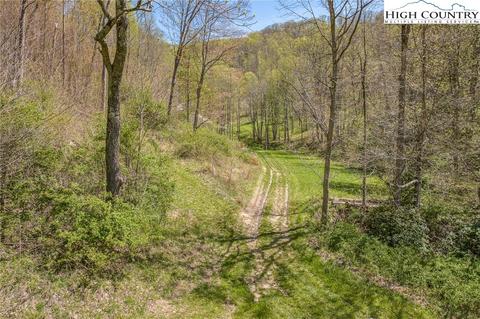 809 Fork Branch Rd, Vilas, NC 28692 photo 9