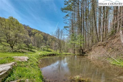 809 Fork Branch Rd, Vilas, NC 28692 photo 4