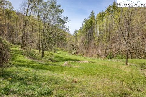 809 Fork Branch Rd, Vilas, NC 28692 photo 17