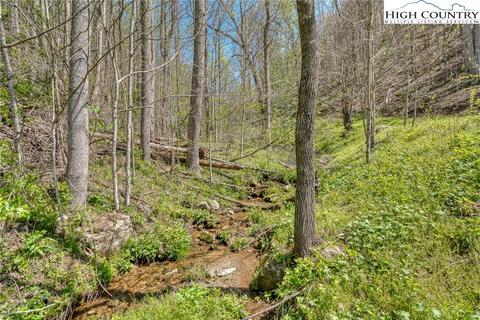 809 Fork Branch Rd, Vilas, NC 28692 photo 22