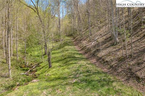 809 Fork Branch Rd, Vilas, NC 28692 photo 16