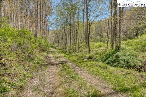 809 Fork Branch Rd, Vilas, NC 28692 photo 27