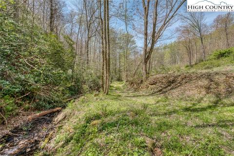 809 Fork Branch Rd, Vilas, NC 28692 photo 29