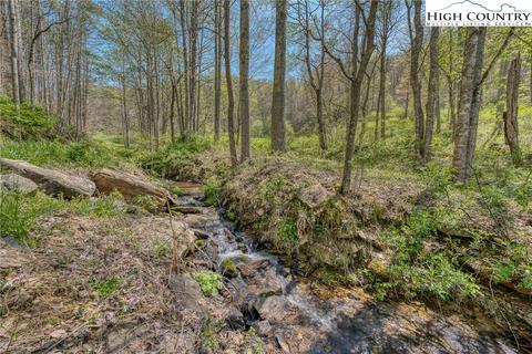 809 Fork Branch Rd, Vilas, NC 28692 photo 3