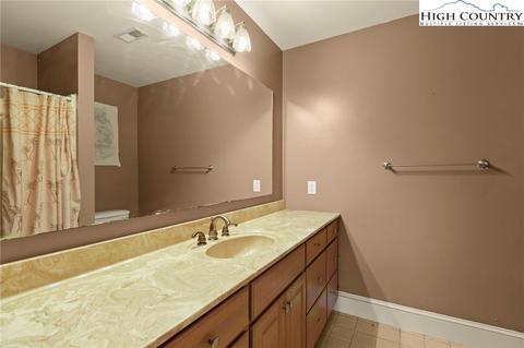 295 Squash Dr, Purlear, NC 28665 photo 20