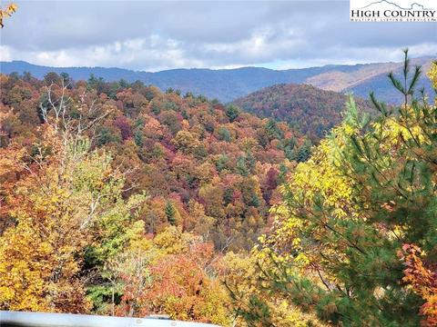 295 Squash Dr, Purlear, NC 28665 photo 42