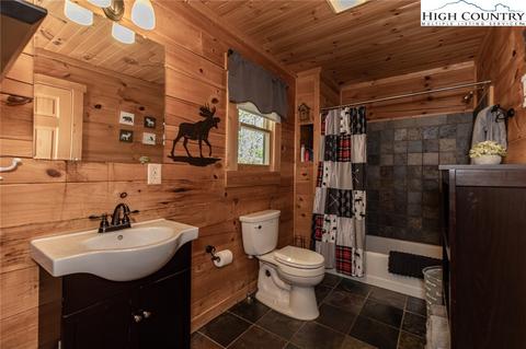 341 Woodpecker Rd, Purlear, NC 28665 photo 20