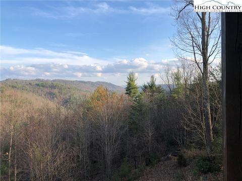 341 Woodpecker Rd, Purlear, NC 28665 photo 3