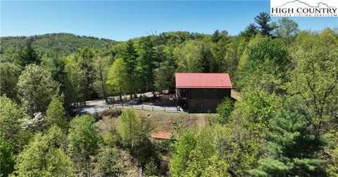 341 Woodpecker Rd, Purlear, NC 28665 photo 42