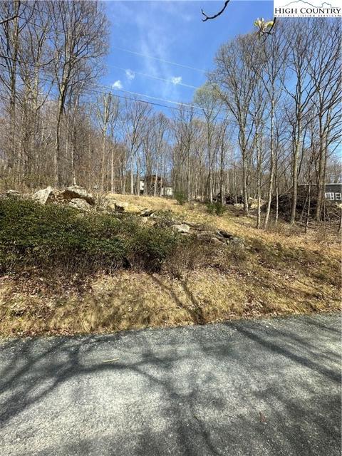 106 Cherrybrook Ln, Beech Mountain, NC 28604 photo 1