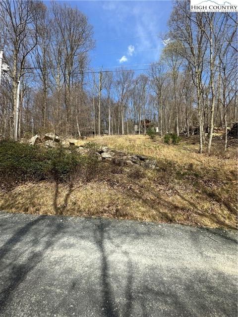 106 Cherrybrook Ln, Beech Mountain, NC 28604 photo 7