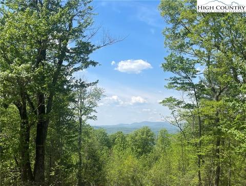 00 Tumbling Shoals Road Rd, Millers Creek, NC 28651