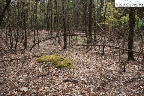 TBD Noah's Ridge, Fleetwood, NC 28626