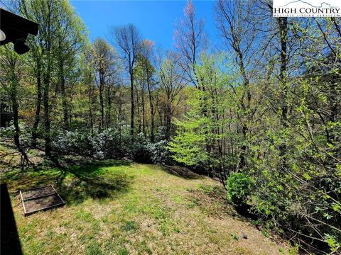 190 Disney Dr, Boone, NC 28607 photo 10