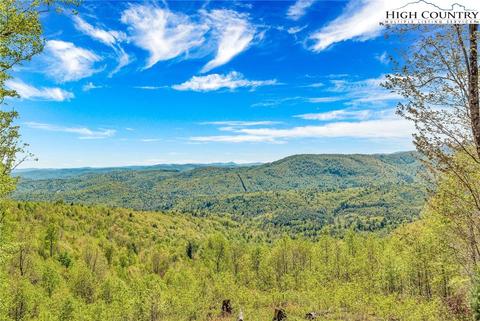 1655 Lump Rd, Purlear, NC 28665 photo 2