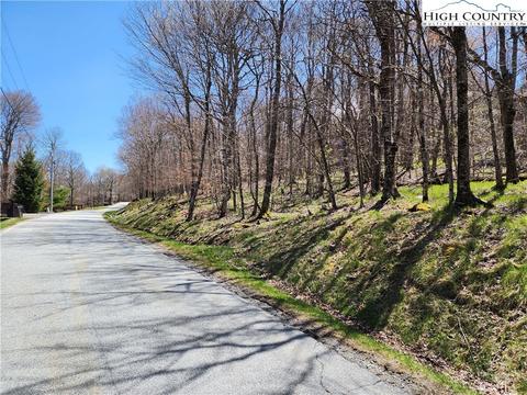1051 Charter Hills Rd, Beech Mountain, NC 28604