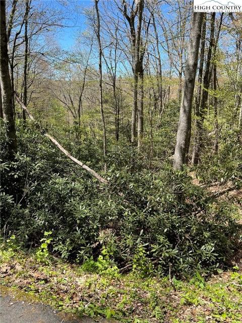 278 Trout Brook Loop, Newland, NC 28657