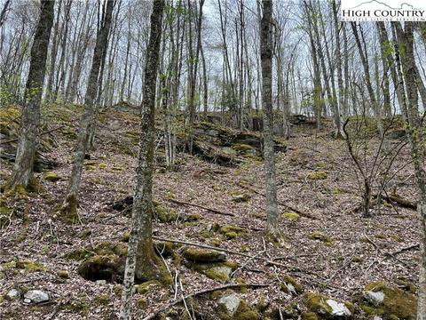 tbd Red Fox Ln, Beech Mountain, NC 28604 photo 4