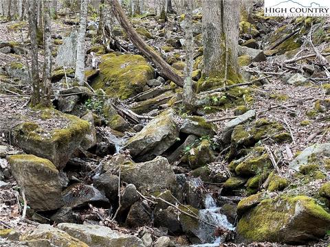 tbd Red Fox Ln, Beech Mountain, NC 28604 photo 2