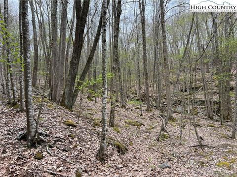 tbd Red Fox Ln, Beech Mountain, NC 28604 photo 13