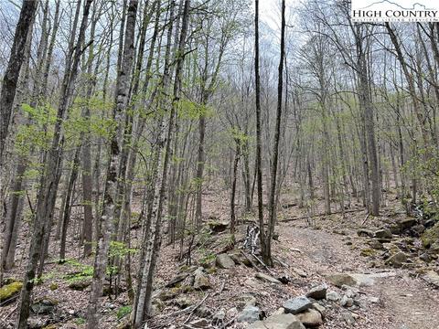 tbd Red Fox Ln, Beech Mountain, NC 28604 photo 3