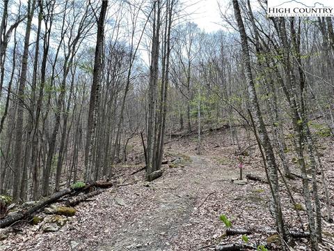 tbd Red Fox Ln, Beech Mountain, NC 28604 photo 5