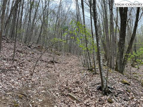 tbd Red Fox Ln, Beech Mountain, NC 28604 photo 12