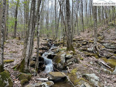 TBD Red Fox Lane, Beech Mountain, NC 28604