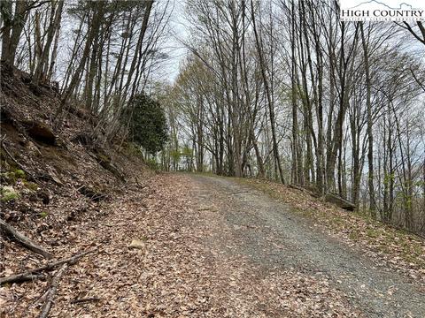 tbd Red Fox Ln, Beech Mountain, NC 28604 photo 6