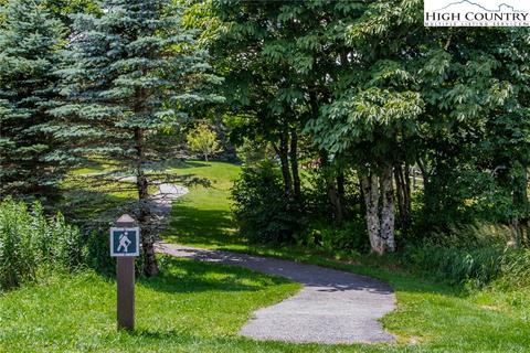 tbd Red Fox Ln, Beech Mountain, NC 28604 photo 18