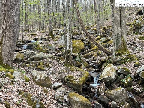 tbd Red Fox Ln, Beech Mountain, NC 28604 photo 7
