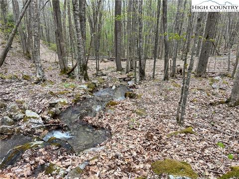 tbd Red Fox Ln, Beech Mountain, NC 28604 photo 15