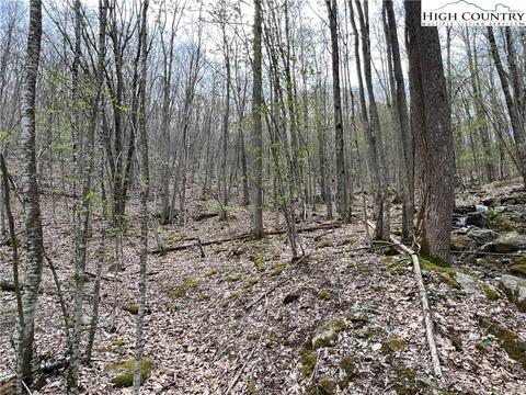 tbd Red Fox Ln, Beech Mountain, NC 28604 photo 8