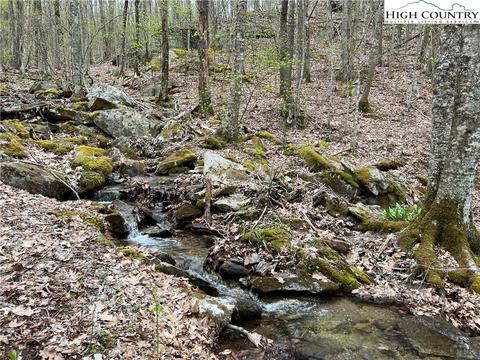 tbd Red Fox Ln, Beech Mountain, NC 28604 photo 14