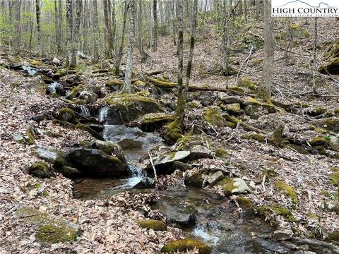 tbd Red Fox Ln, Beech Mountain, NC 28604 photo 16