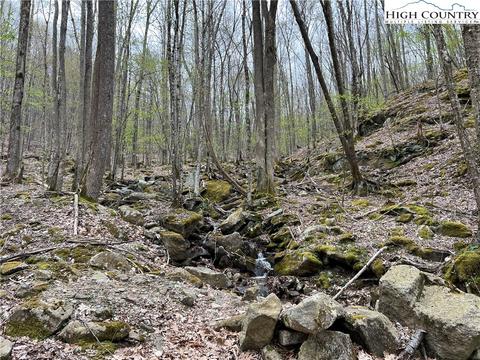 tbd Red Fox Ln, Beech Mountain, NC 28604 photo 11