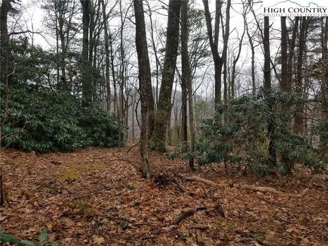 tbd Thunderhead Trl, Lenoir, NC 28654 photo 4