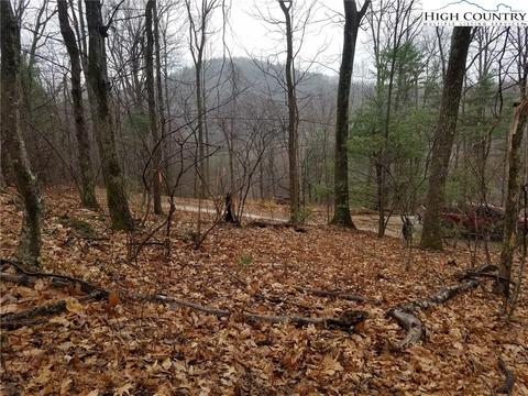TBD Thunderhead Trail, Lenoir, NC 28654
